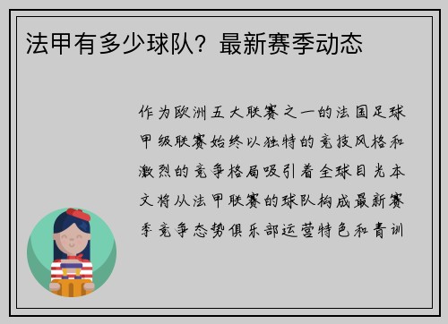 法甲有多少球队？最新赛季动态